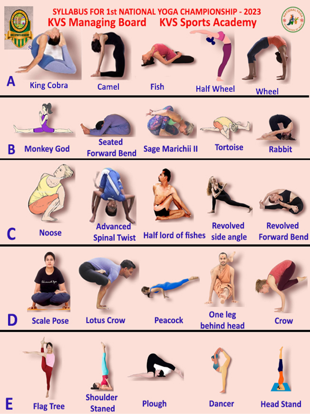 class image